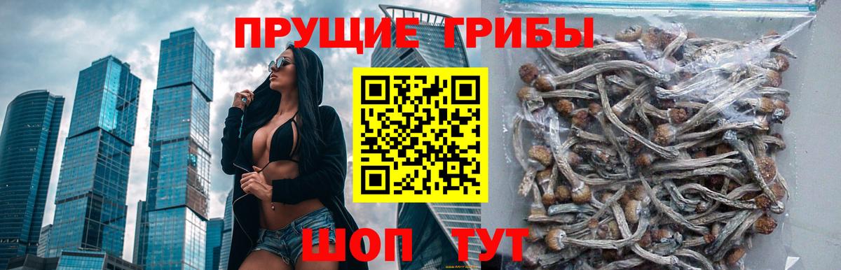 сколько стоит  Галлюциногенные грибы GOLDEN TEACHER  Вход с VPN  Екатеринбург 